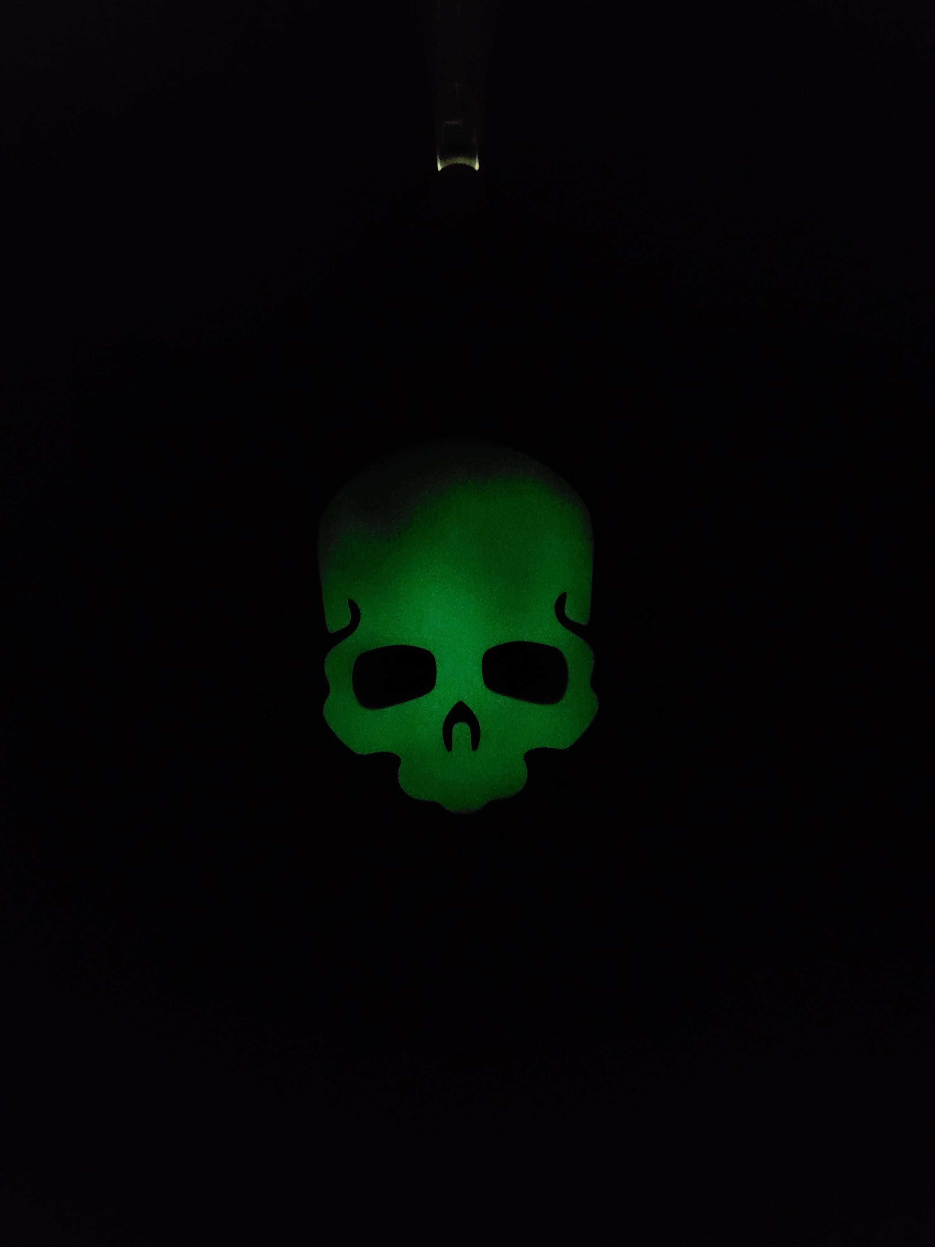 Skull Butterfly Door Hanger